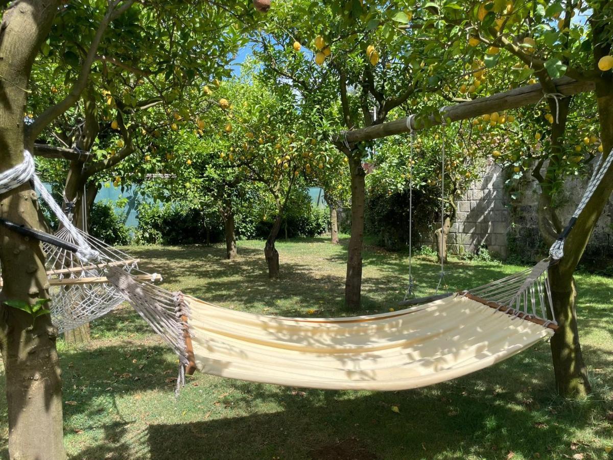 Casa Sorrento, Immerso Nel A Pochi Passi Dal Centro Appartement Sorrente