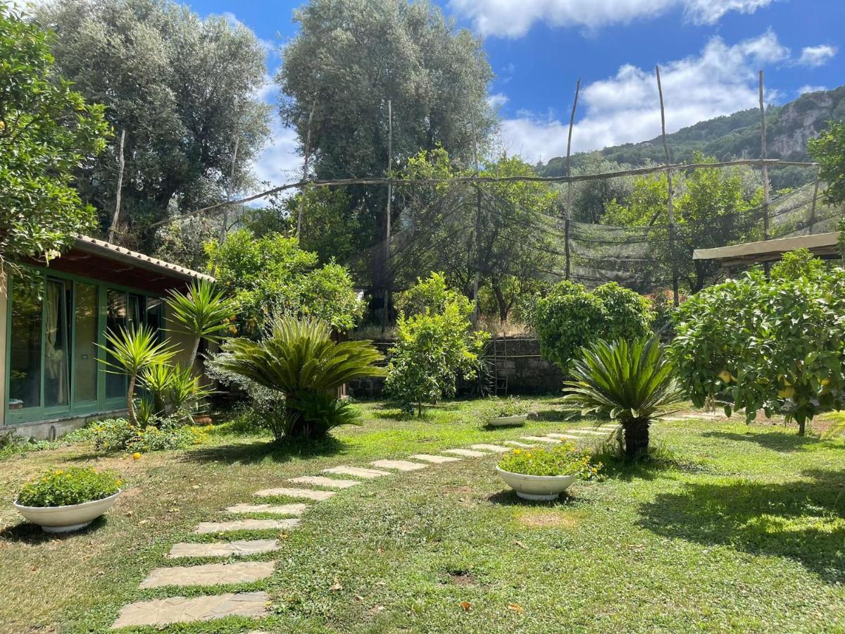 Appartement Casa Sorrento, Immerso Nel A Pochi Passi Dal Centro Sorrente